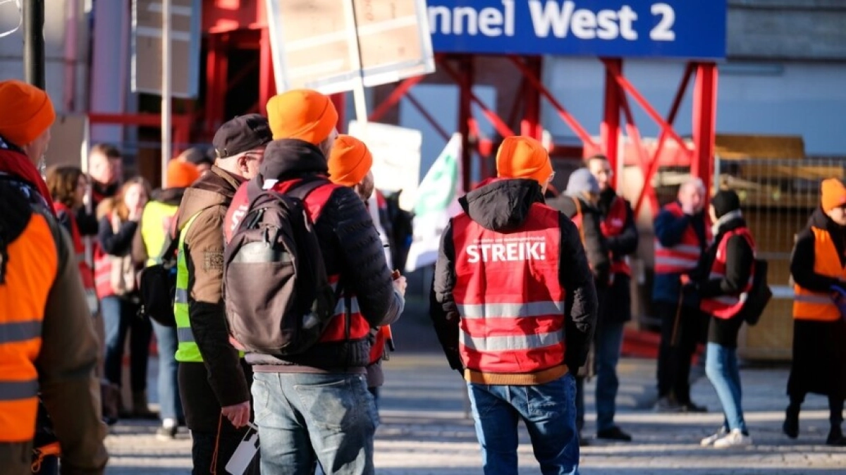 Фото: Shutterstock/FOTODOM