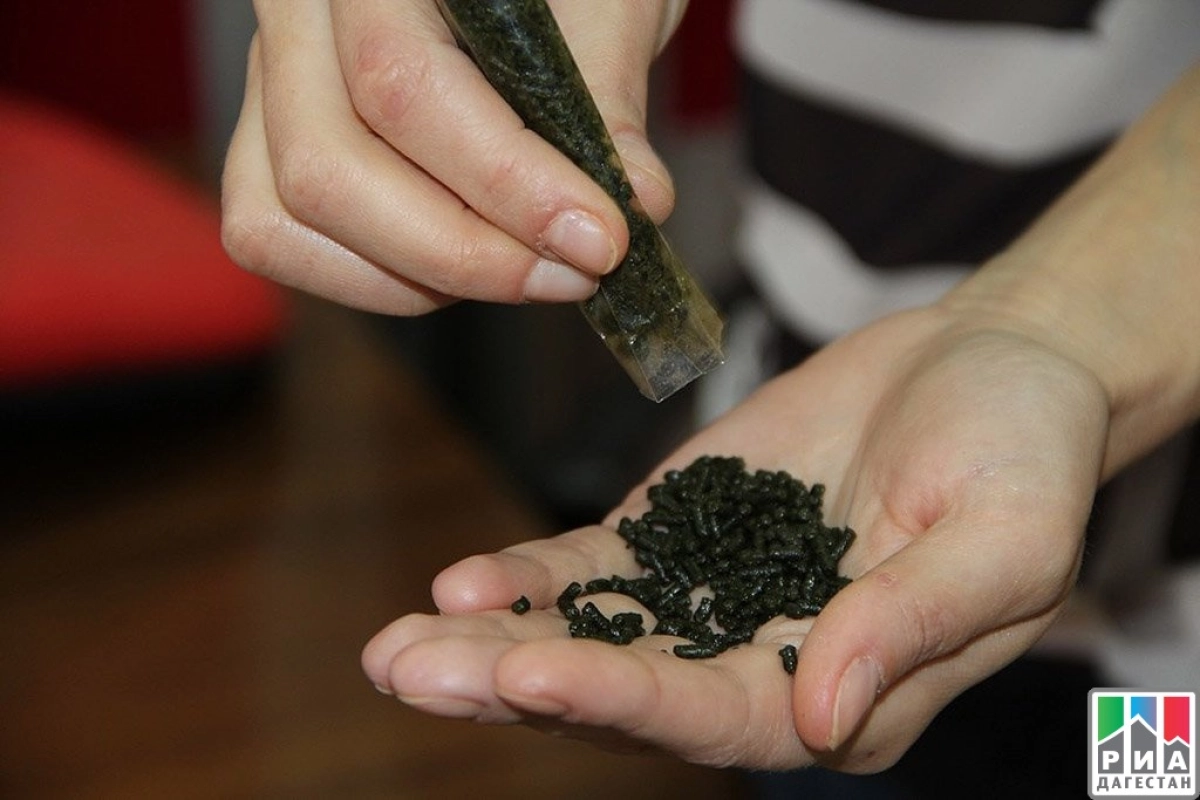 Фото: riadagestan.ru