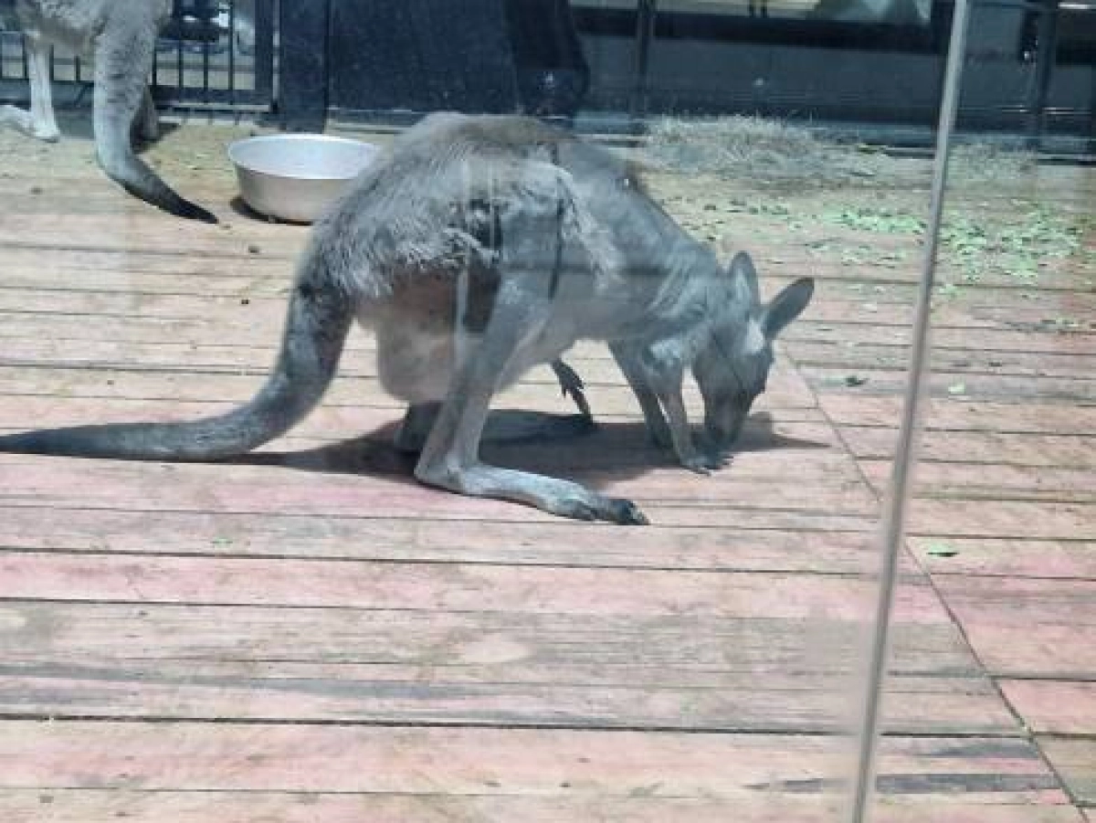 Фото: Евгения Вологодская/ eKaraganda