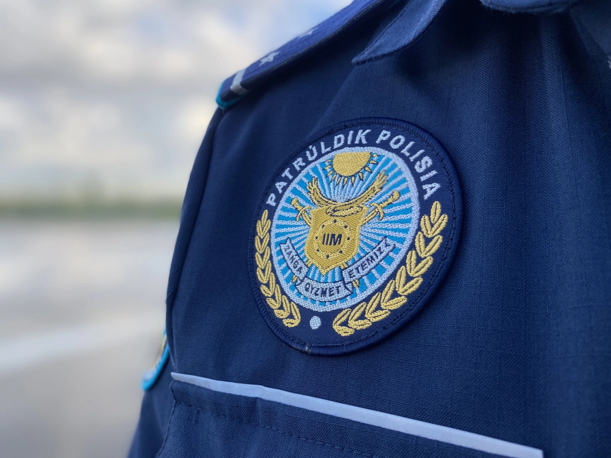 Фото: Дарья Тимина