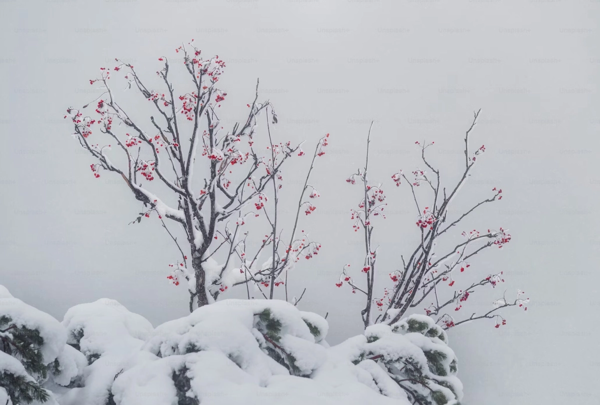 Фото: unsplash.com