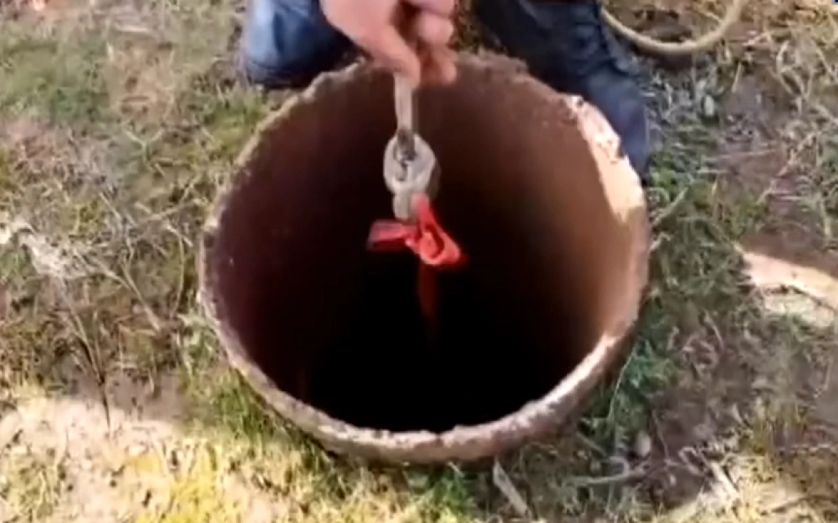 Кадр из видео/ МЧС РК