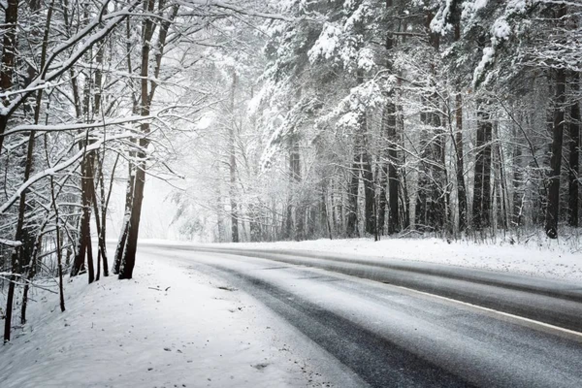 Фото: depositphotos.com