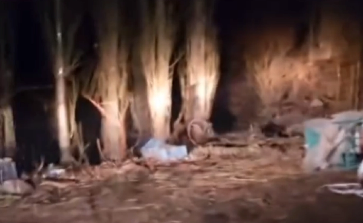 Фото: кадр из видео