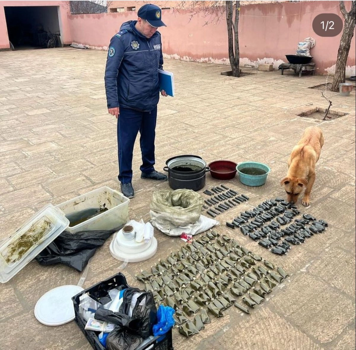 Фото: пресс-служба полиции