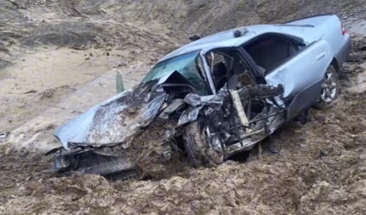 Фото: кадр из видео