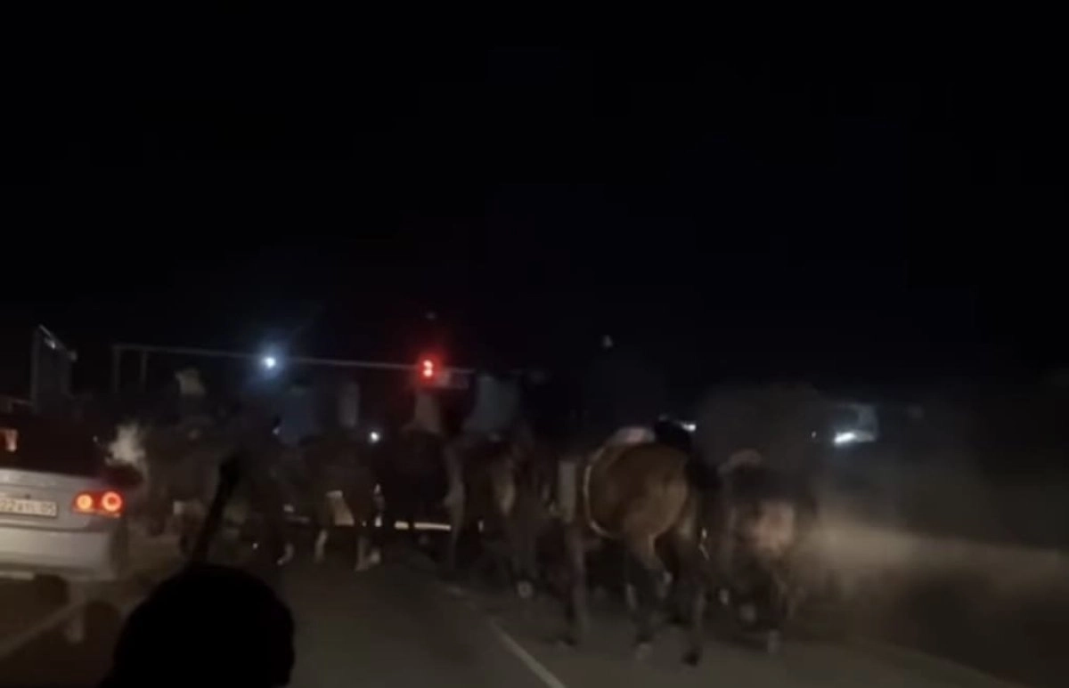 Кадр из видео