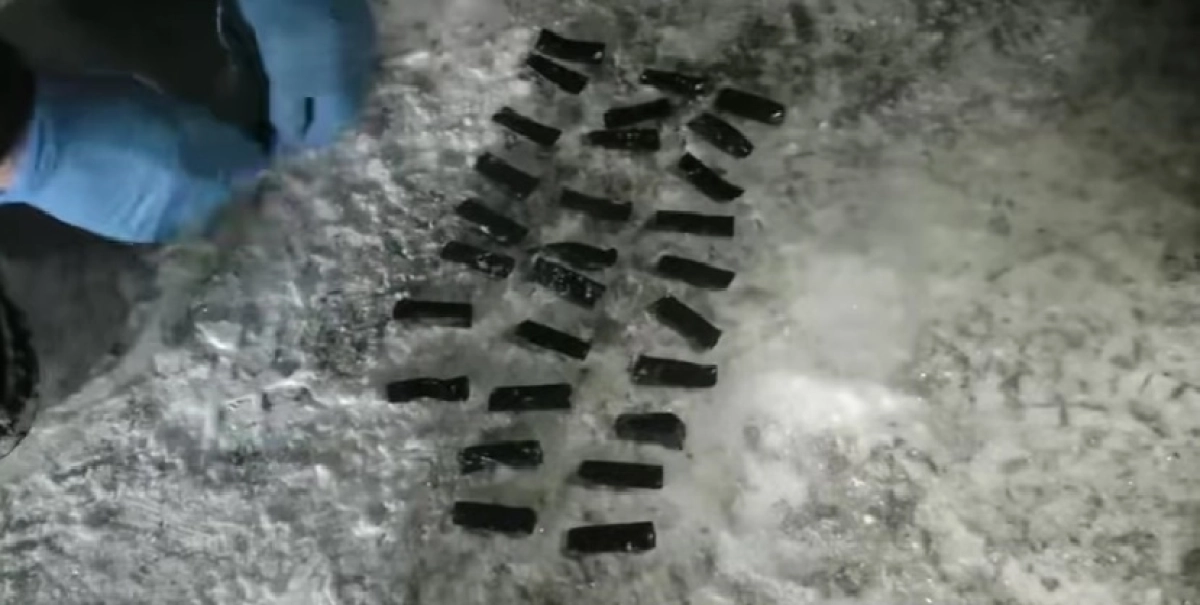 Фото: скриншот из видео