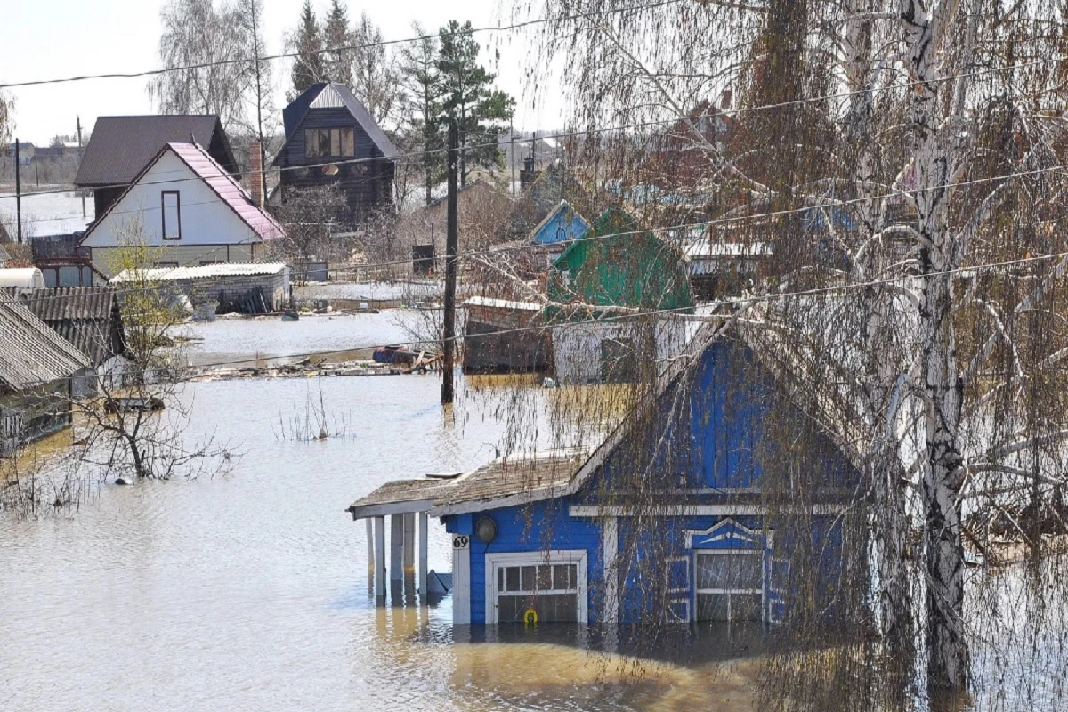 Иллюстративное фото Sputnik / Елена Бережная