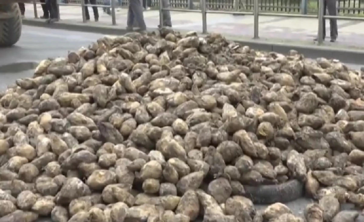 Фото: скриншот из видео