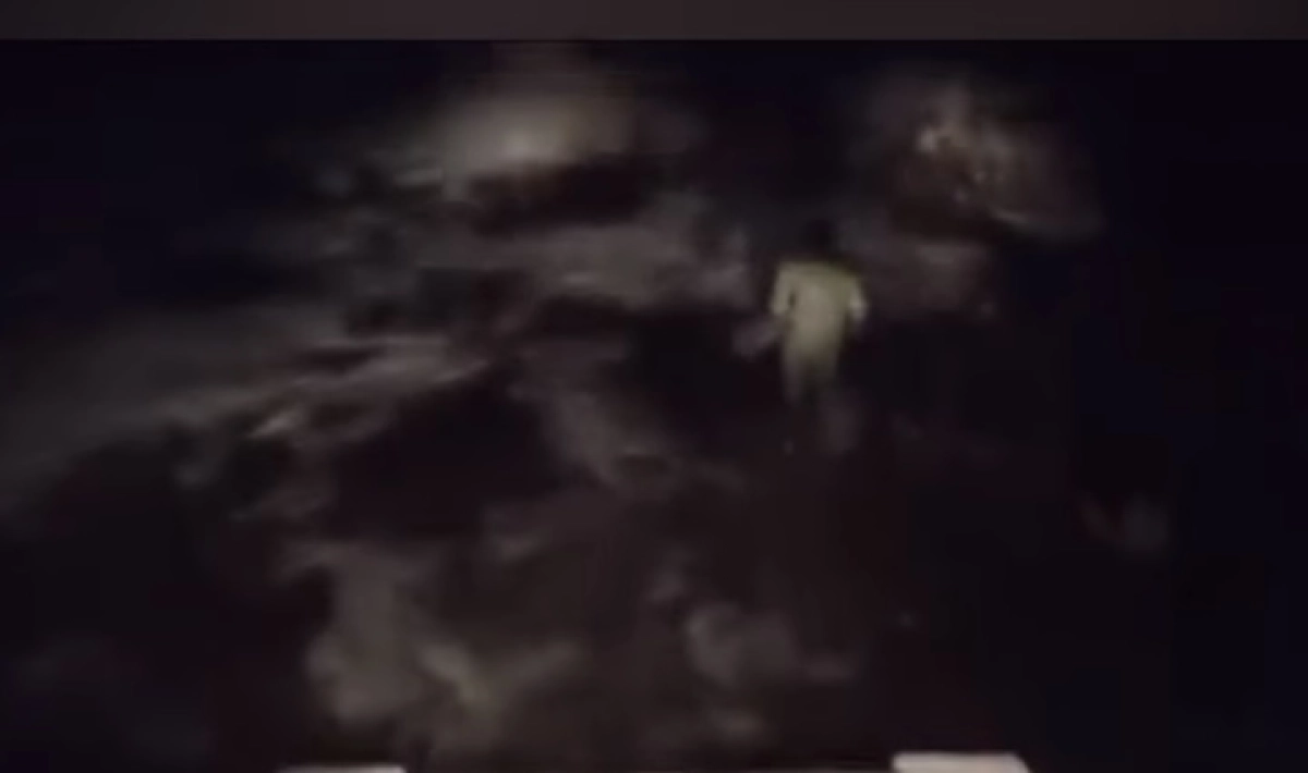 Фото: скриншот из видео