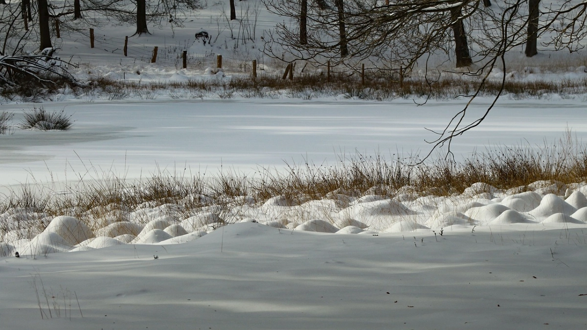 Фото: pixabay.com