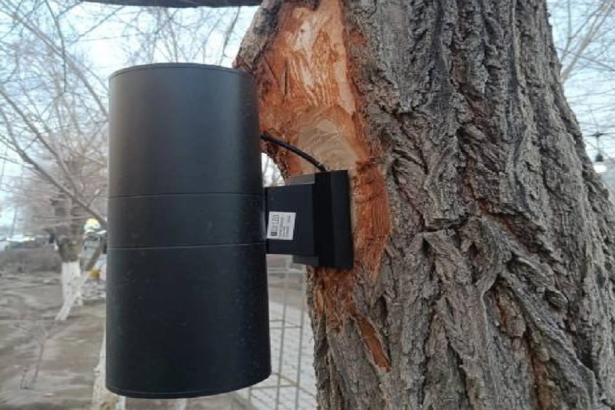 Фото: news_agency_balkhash.