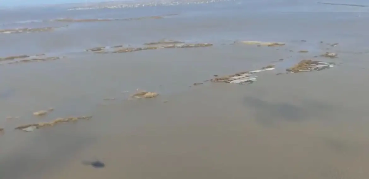 Фото: кадр из видео