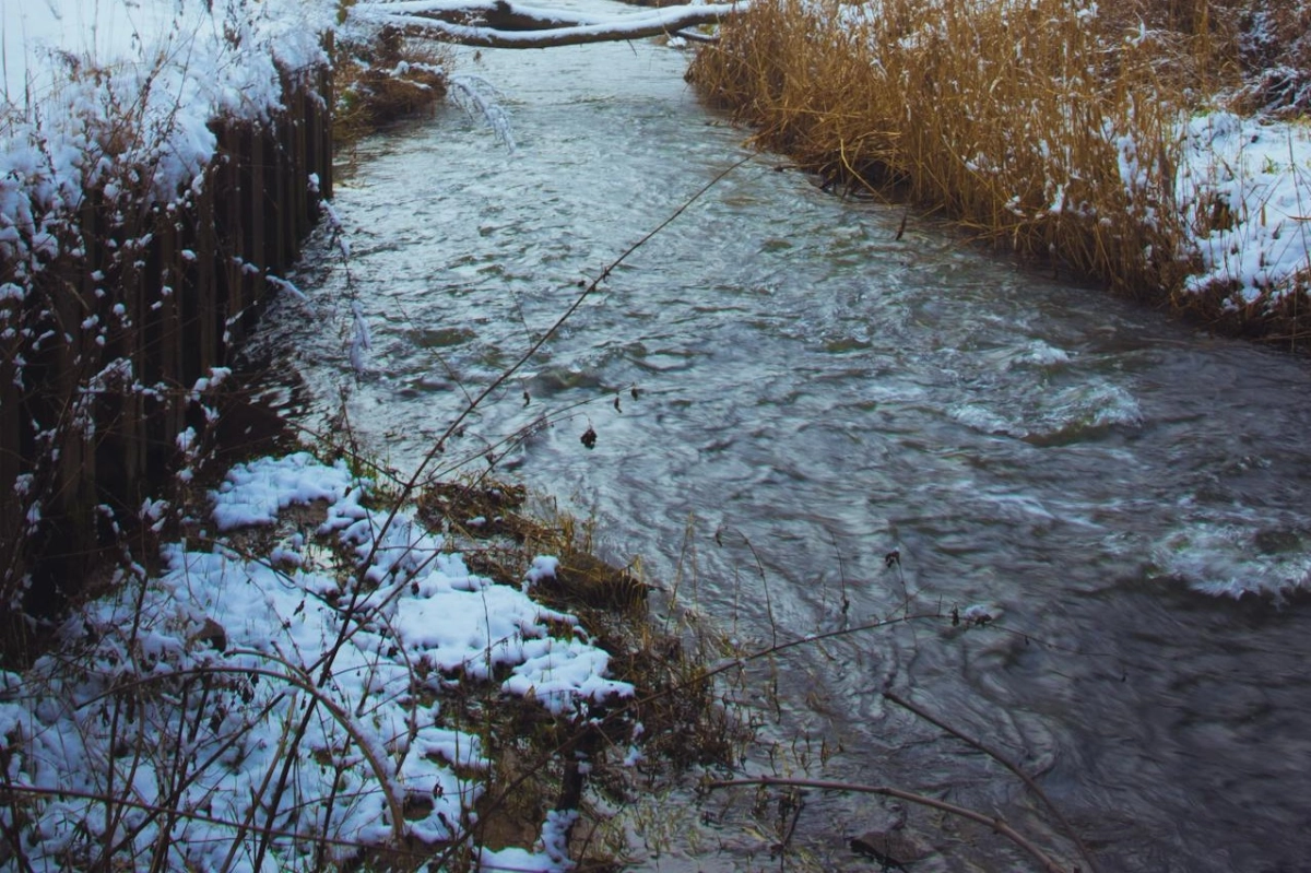 Фото: pexels.com