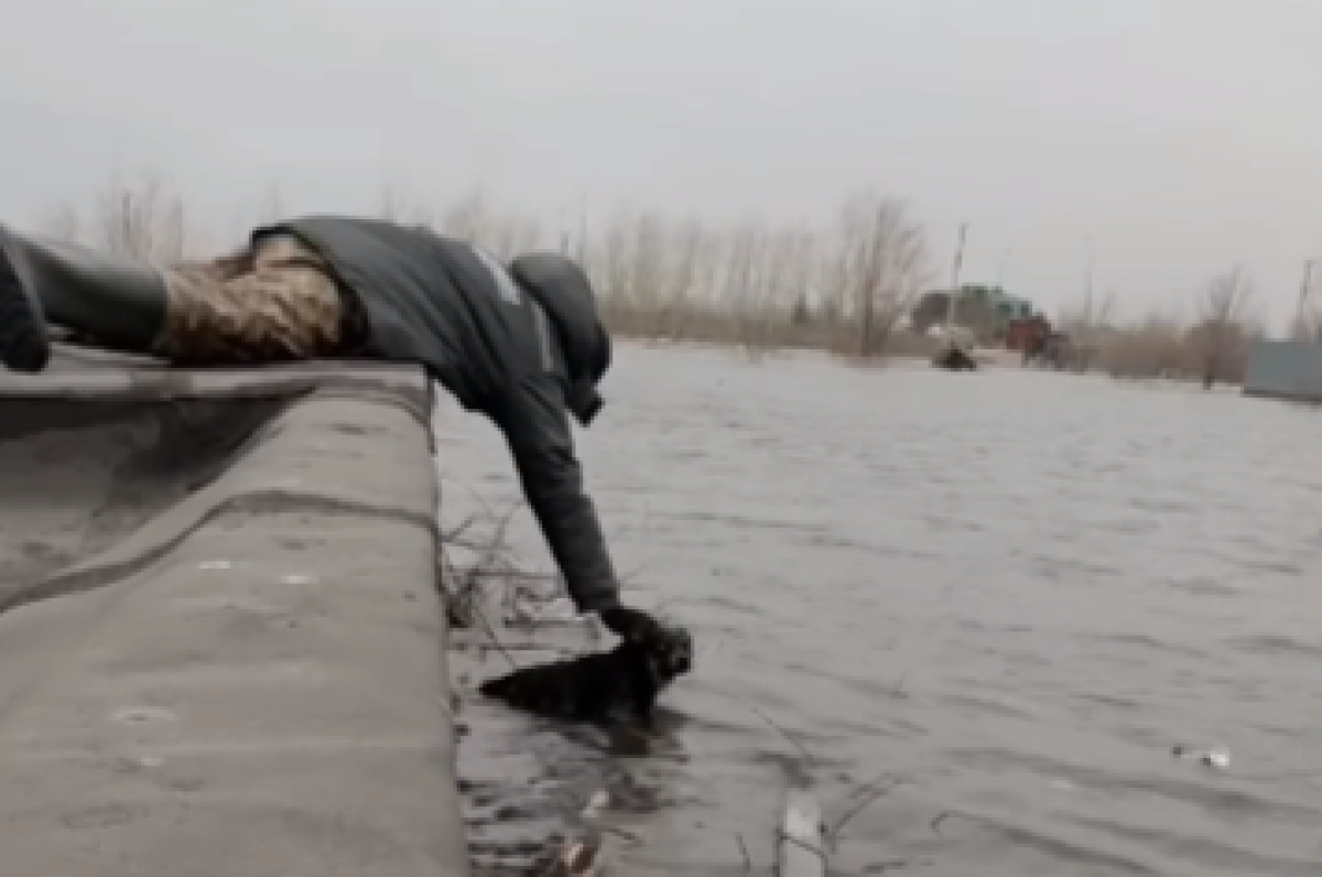 Фото: кадр из видео