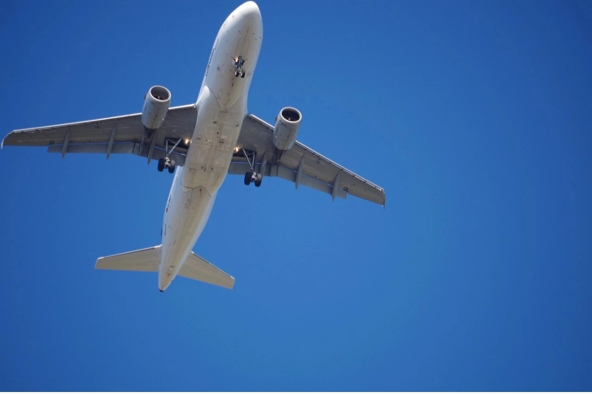 Фото: pixabay.com