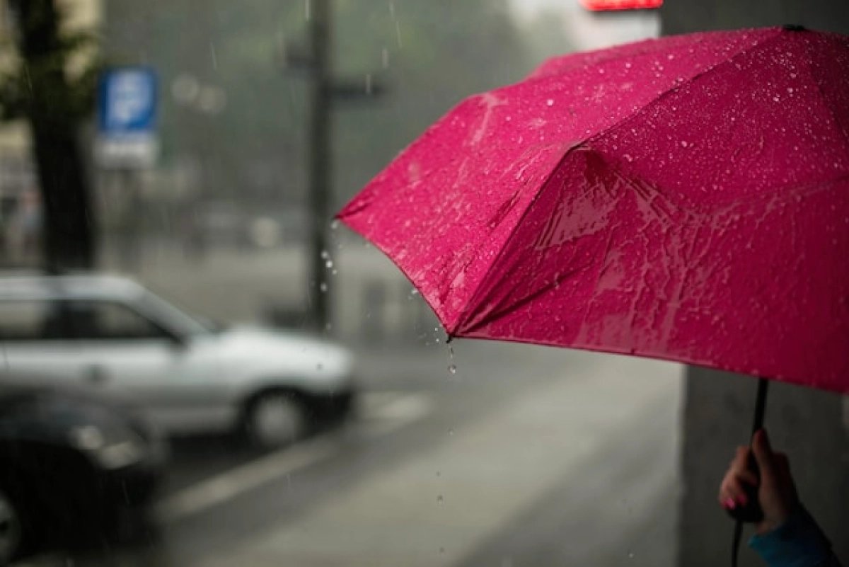 Фото: unsplash.com