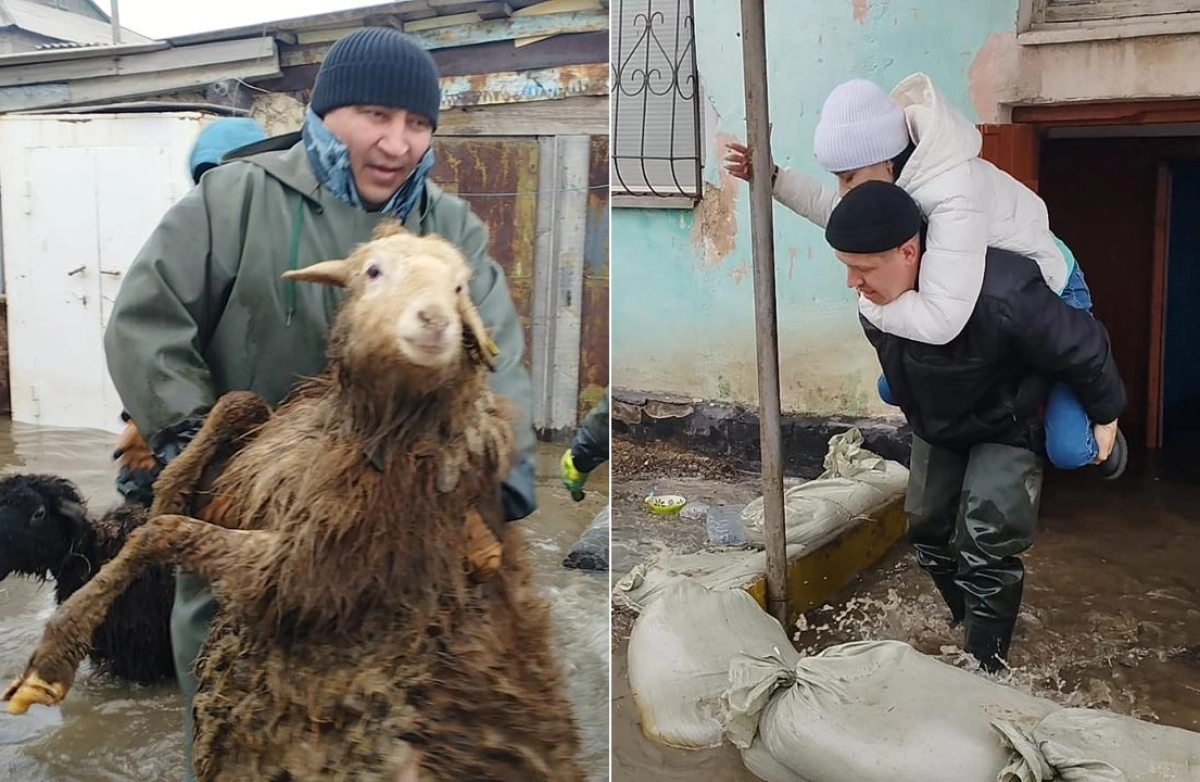 Фото: пресс-служба ДЧС Акмолинской области