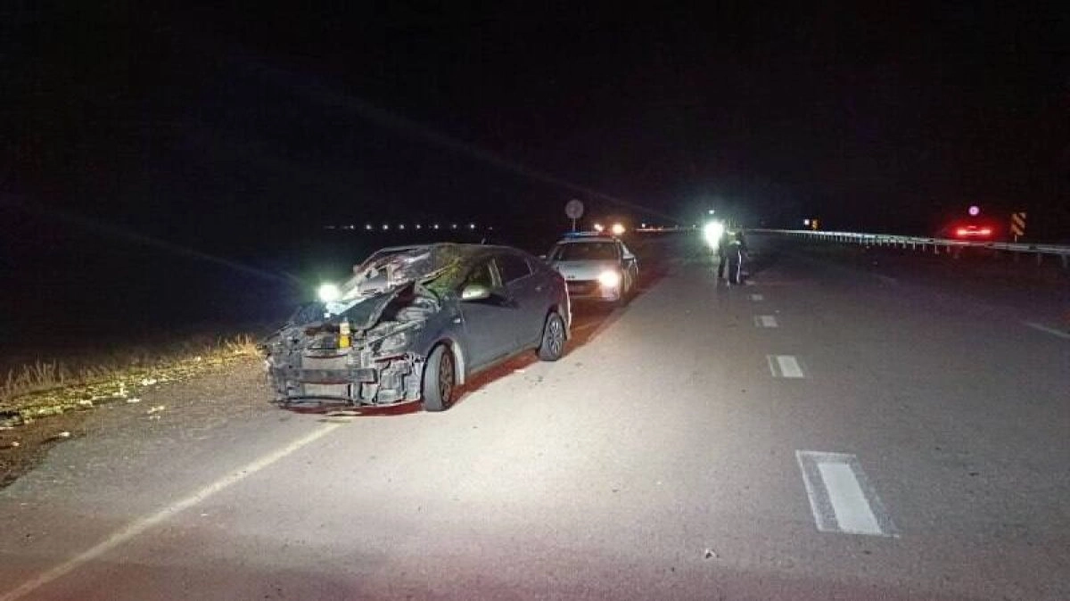 Фото: Polisia.kz