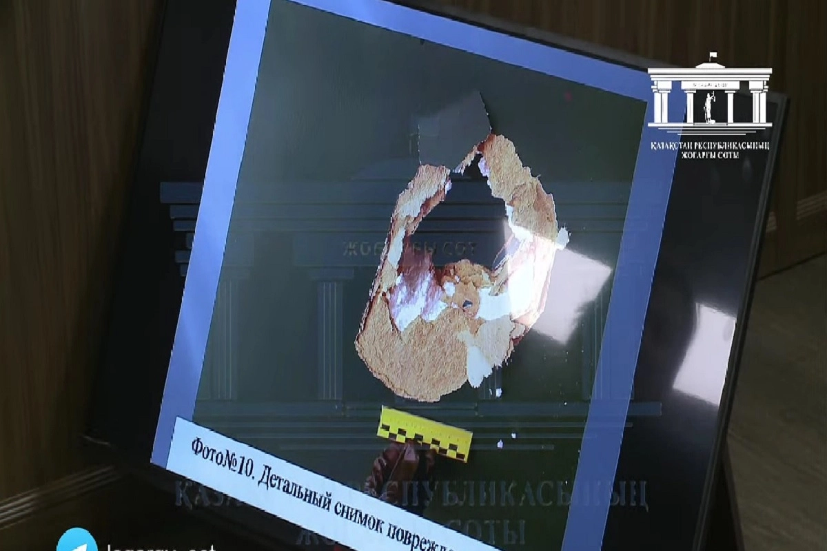 Фото: скриншот трансляции судебного процесса