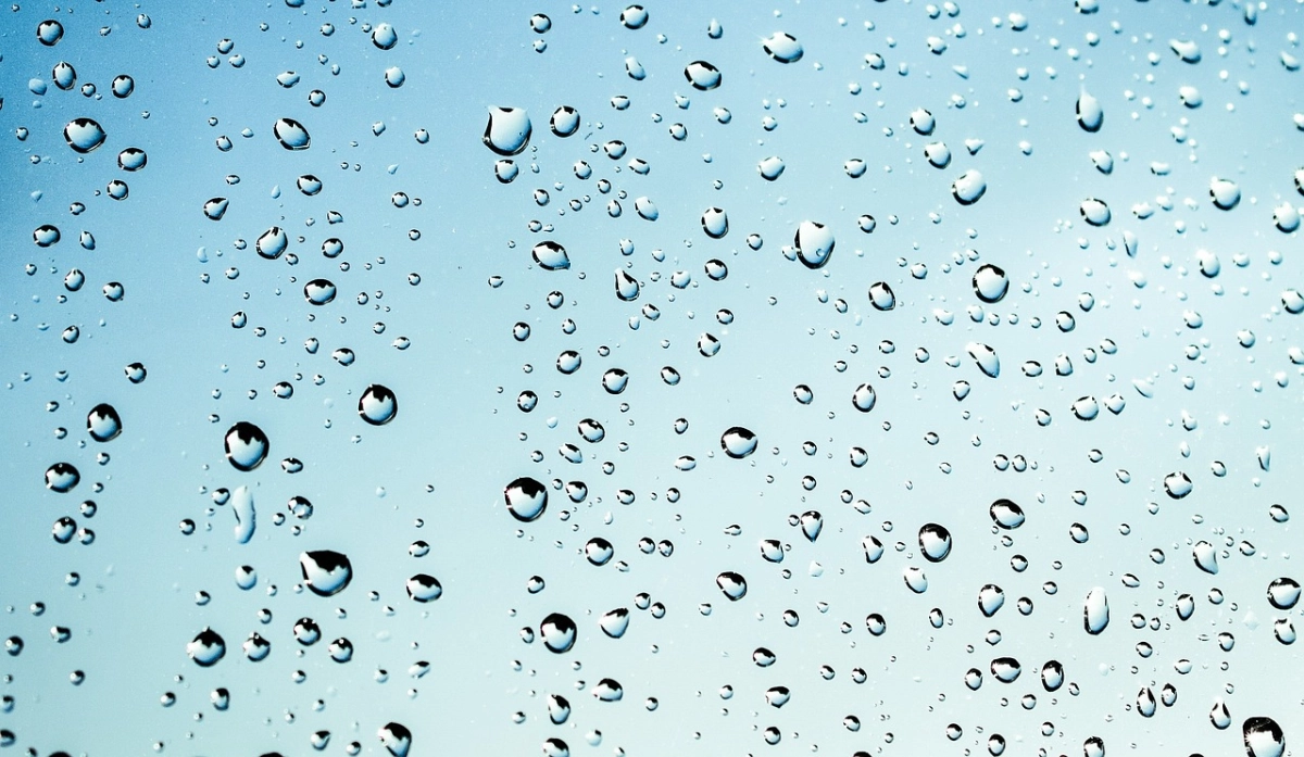 Фото: pixabay.com