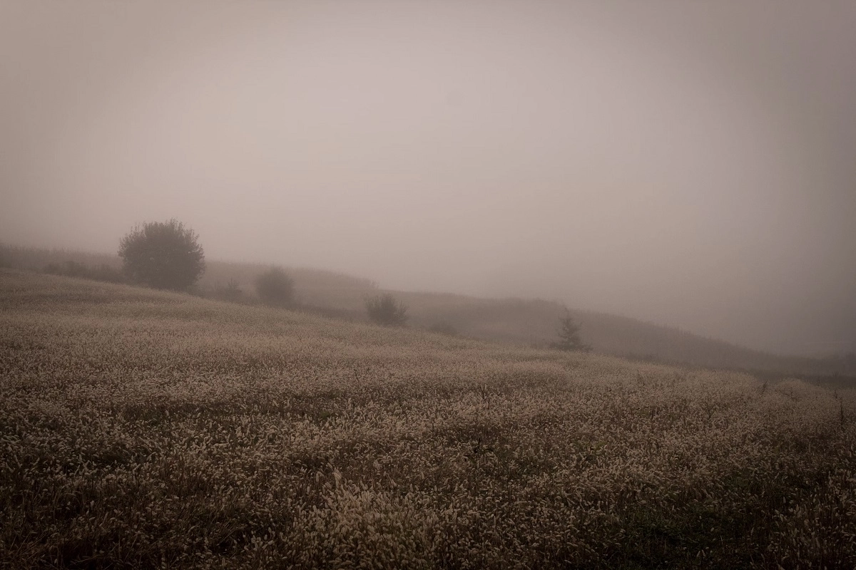 Фото: unsplash