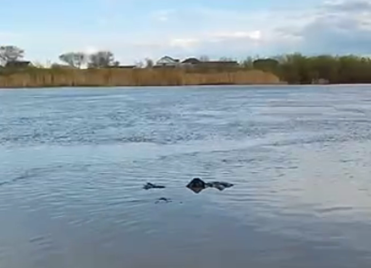 Похожие видео ролики → Трах в ночи в г. Атырау. Казахстан. — Русское порно видео.