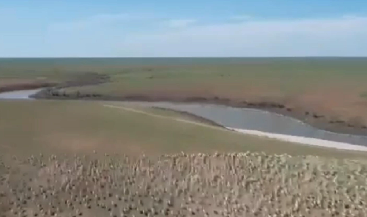 Фото: Instagram / @ohotzooprom.kz