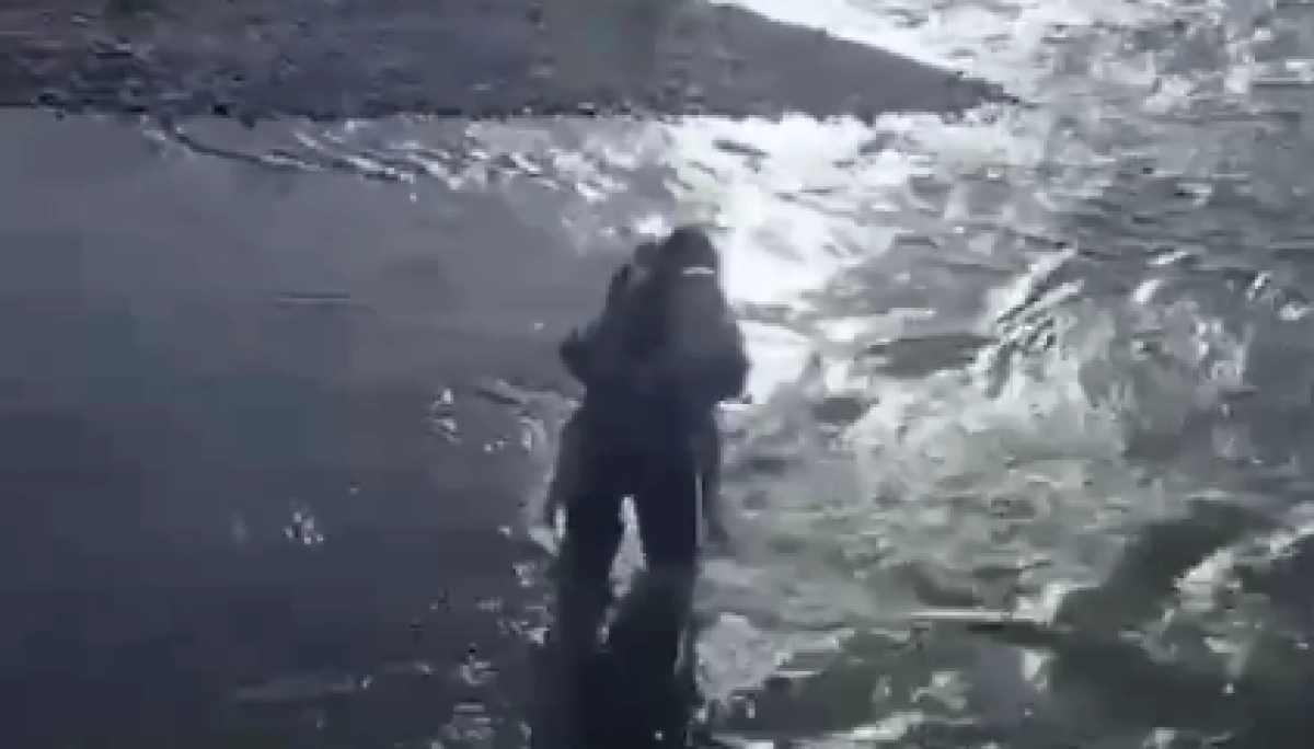 Кадр из видео