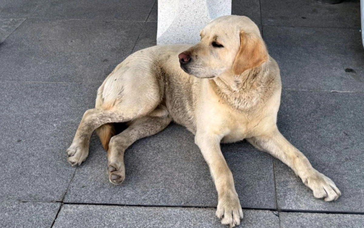 Фото: Диапазон