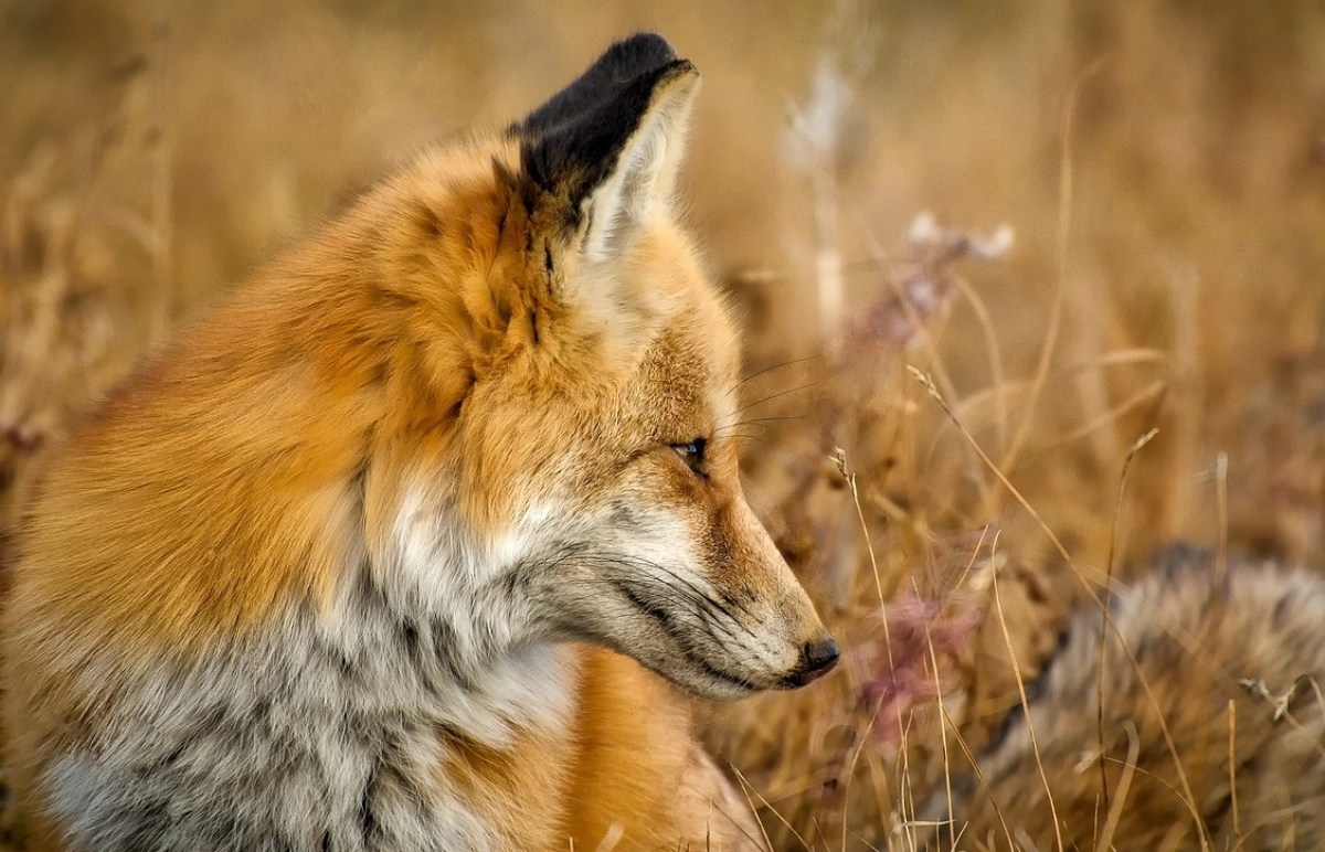 Фото: NewTimes.kz