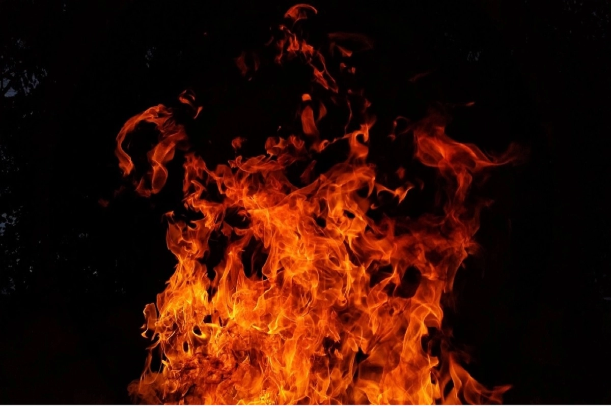 Фото: pixabay.com