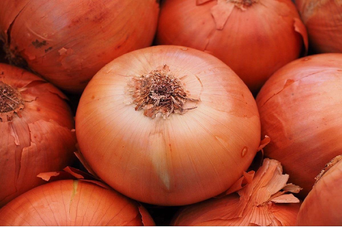 Фото: pixabay.com