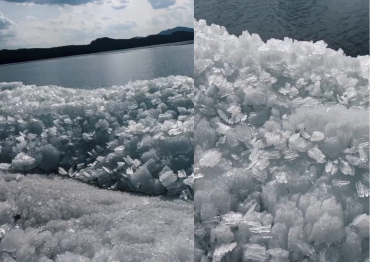 Фото: кадр из видео