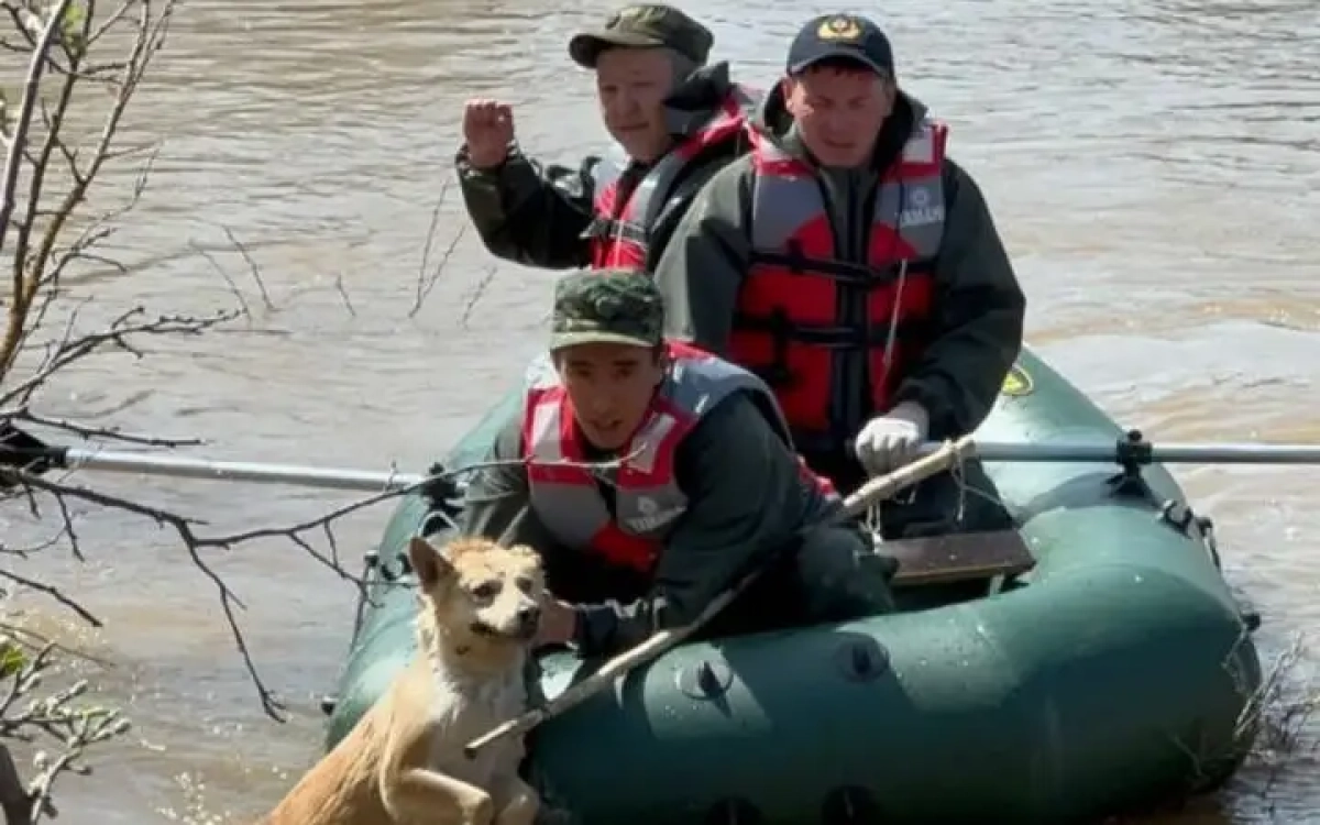 Фото: МЧС РК