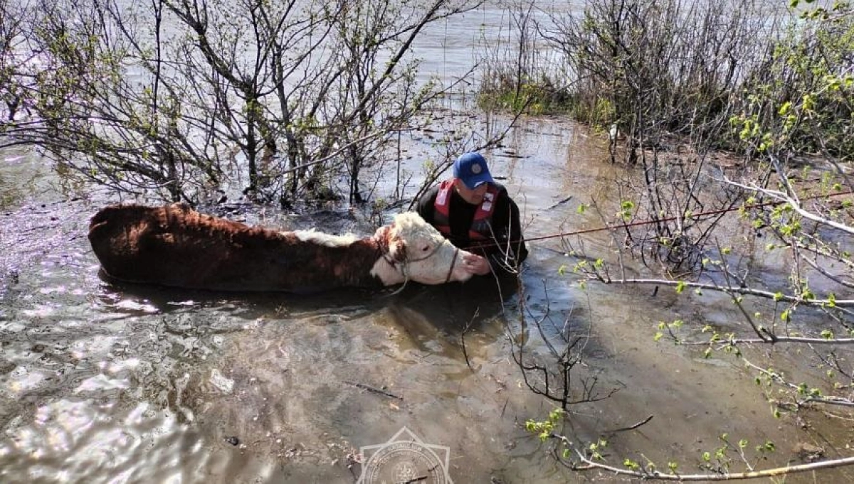 Фото: МЧС РК