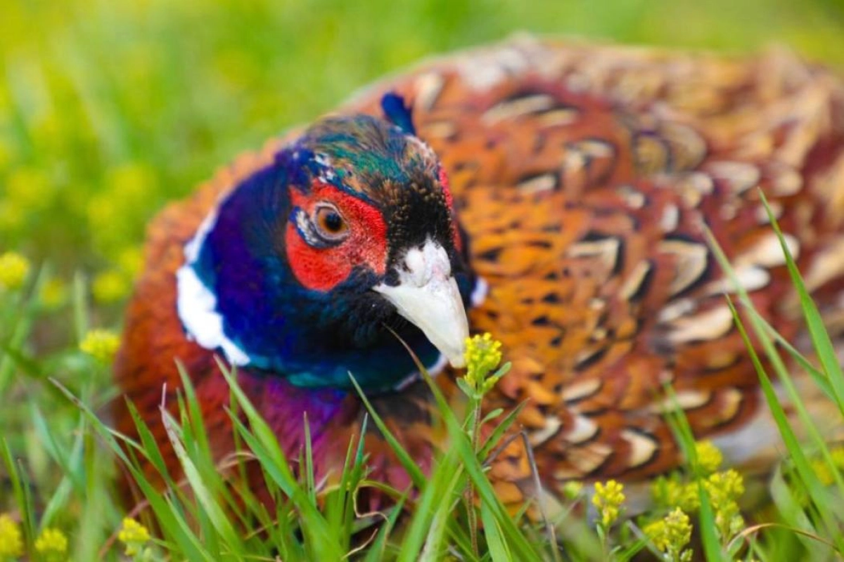 Фото: акимат Астаны