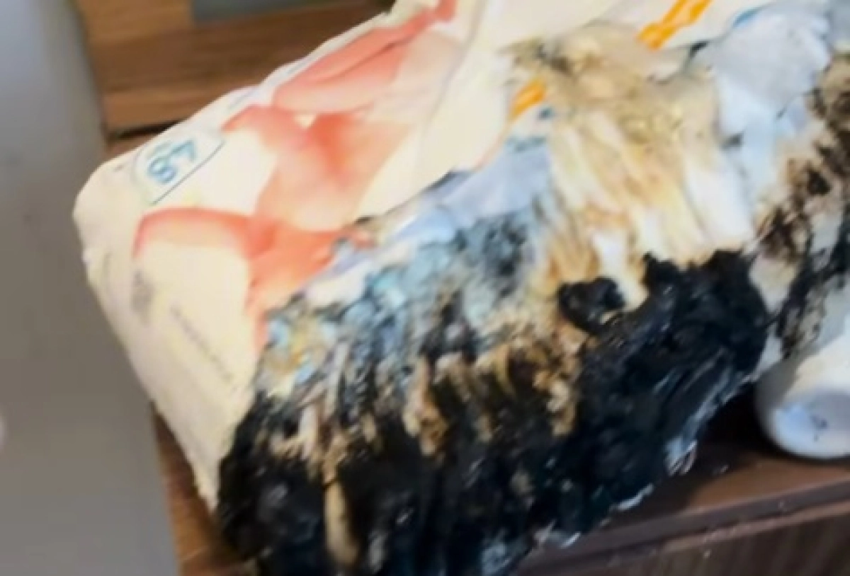 Фото: скриншот из видео