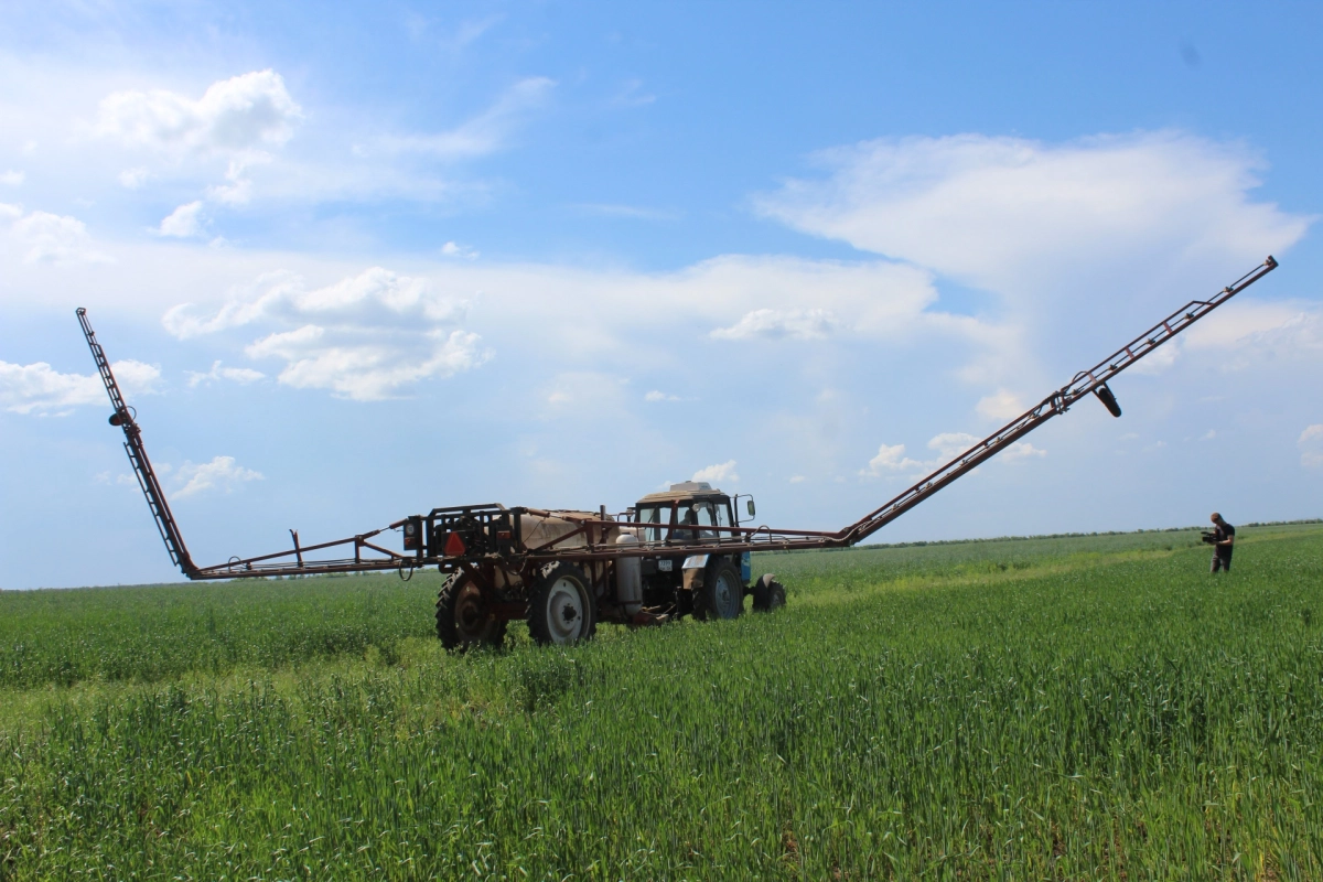 Фото автора