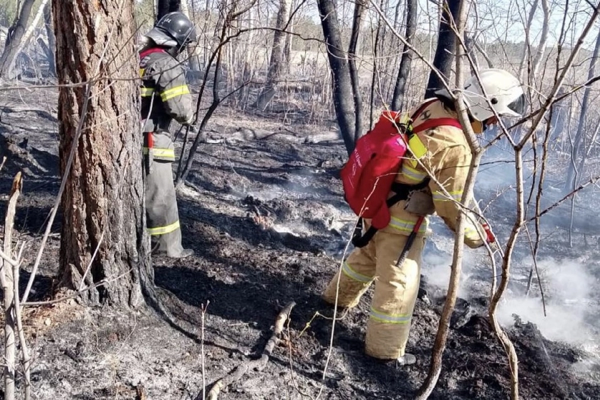 Фото: МЧС РК