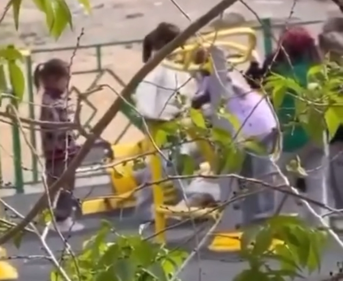 Кадр из видео