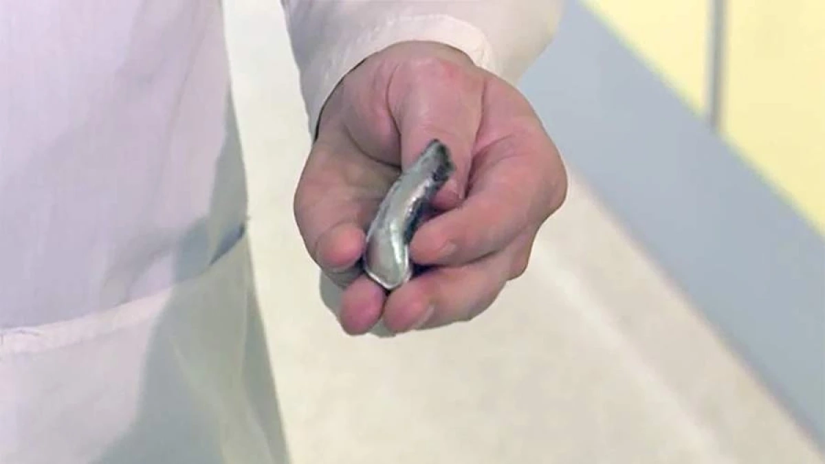 Фото: РЕН ТВ