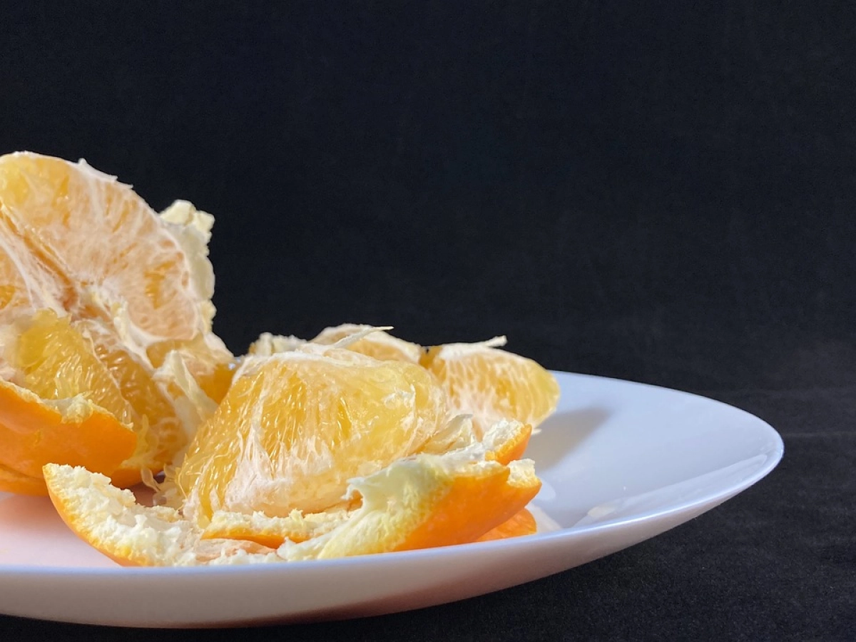 Фото: pixabay.com