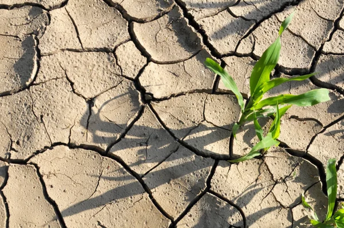 Фото: depositphotos.com