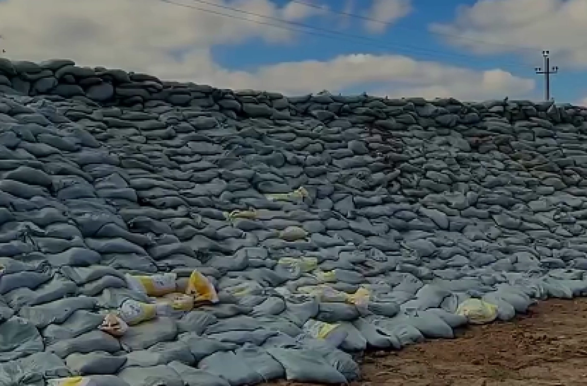 Кадр из видео/ Telegram