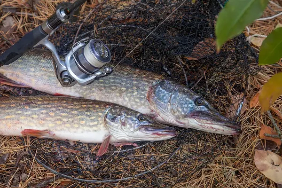 Фото: depositphotos.com