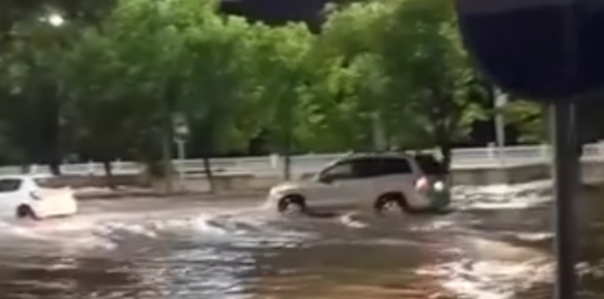 Фото: кадр из видео