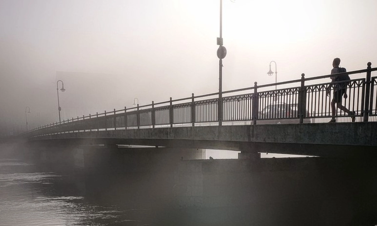 Фото: pixabay