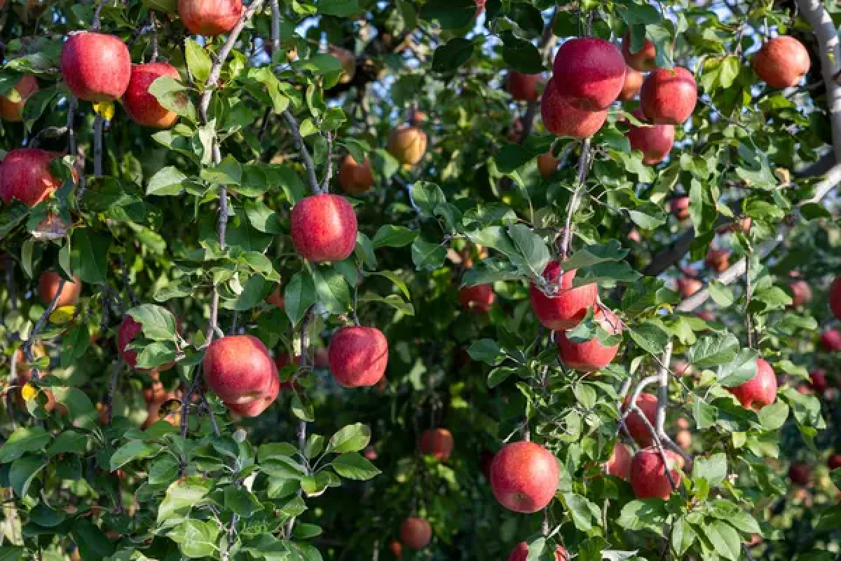 Фото: depositphotos.com